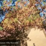 Santuario de Schoenstatt Villa Warcalde