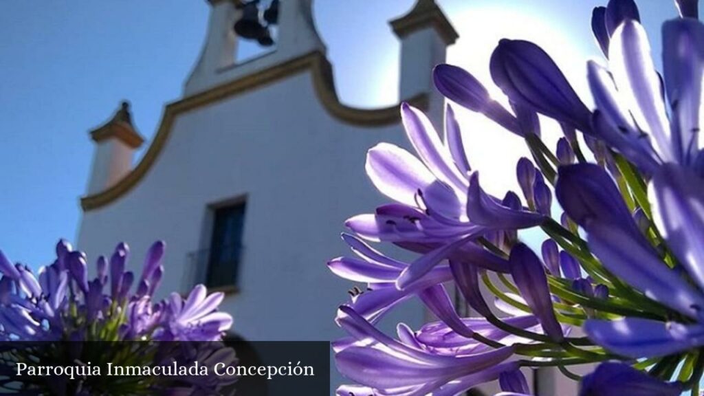 Parroquia Inmaculada Concepción - Tigre (Provincia de Buenos Aires)