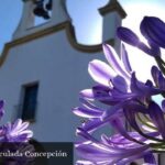 Parroquia Inmaculada Concepción