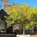 Parroquia Nuestra Señora de Las Mercedes