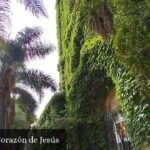 Parroquia Sacratisimo Corazon de Jesus