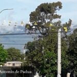 Parroquia San Antonio de Padua