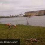 Parroquia Jesús Resucitado