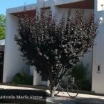 Centro Pastoral Antonia María Verna